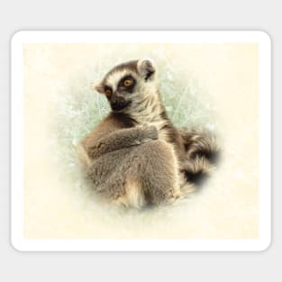 Lemur Sticker